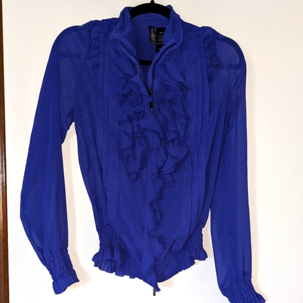 Purple blouse 💜 ruffles around zipper/ sheer sleeved blouse